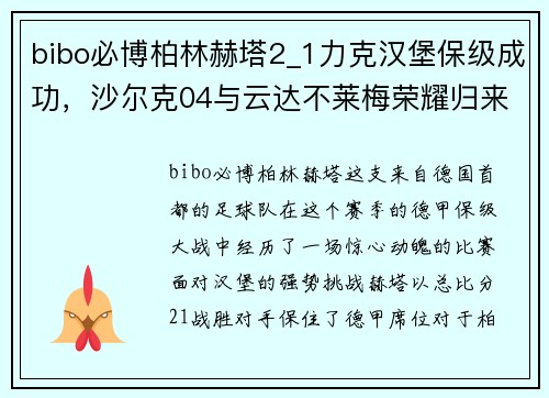 bibo必博柏林赫塔2_1力克汉堡保级成功，沙尔克04与云达不莱梅荣耀归来